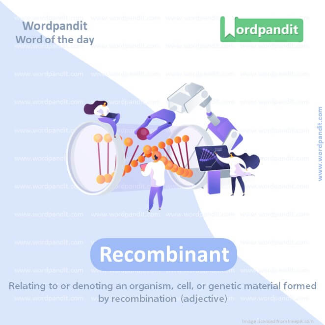 Recombinant Picture Vocabulary