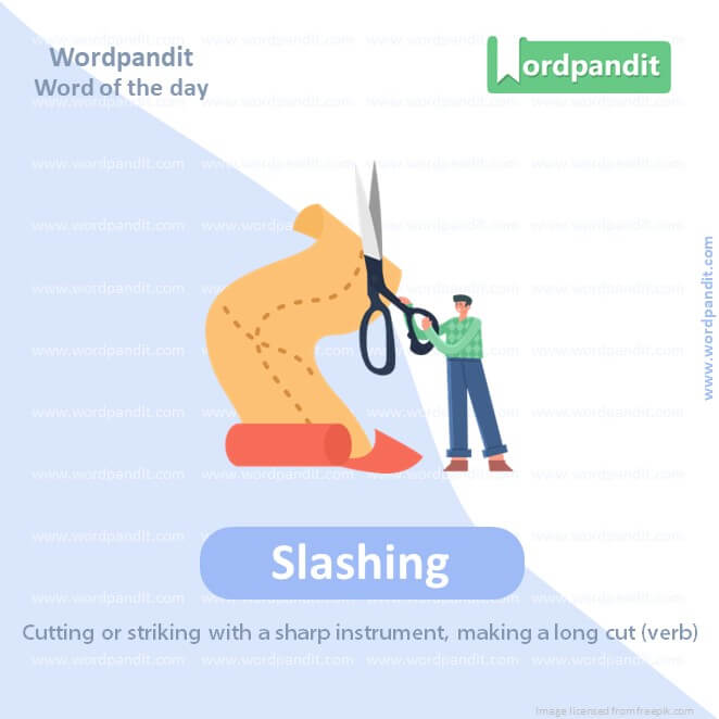 Slashing Picture Vocabulary