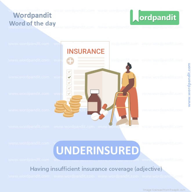Underinsured Picture Vocabulary