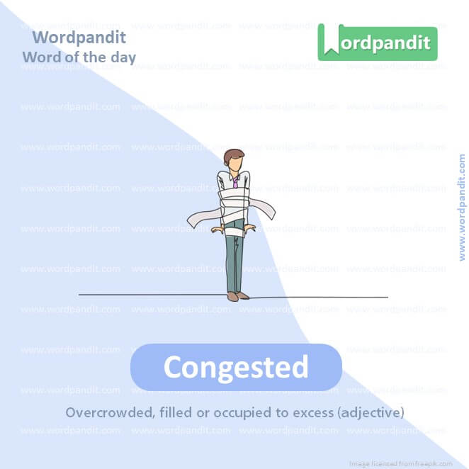 Congested Picture Vocabulary