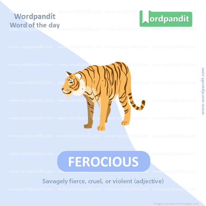 Ferocious Picture Vocabulary