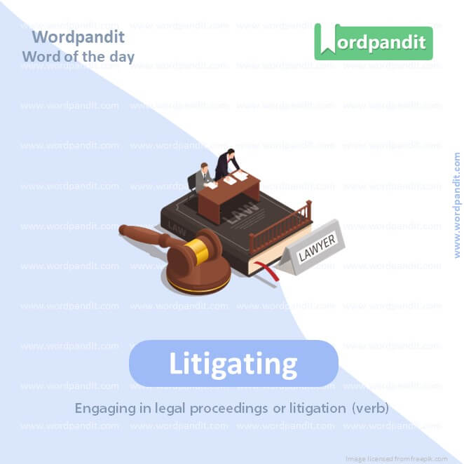 Litigating Picture Vocabulary