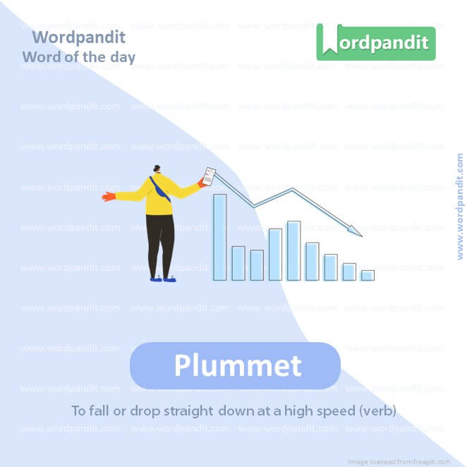 Plummet Picture Vocabulary