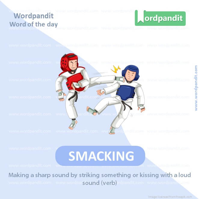 Smacking Picture Vocabulary