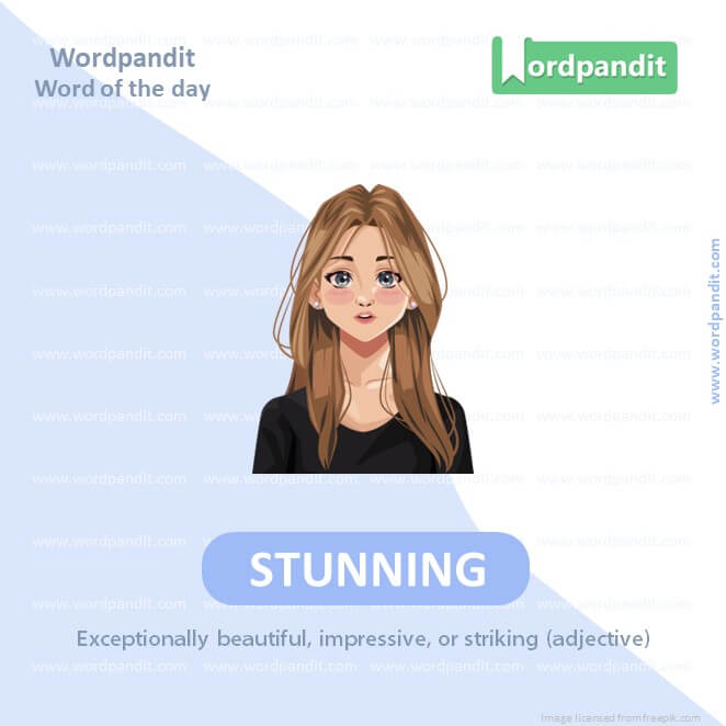 Stunning Picture Vocabulary