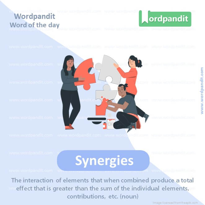 Synergies Picture Vocabulary