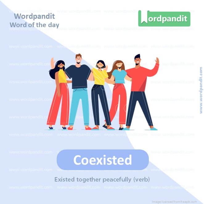 Coexisted Picture Vocabulary