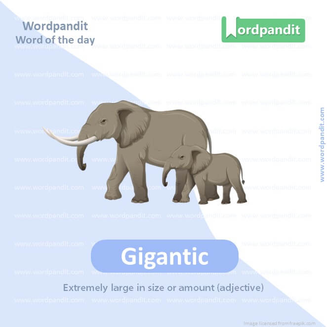 Gigantic Picture Vocabulary