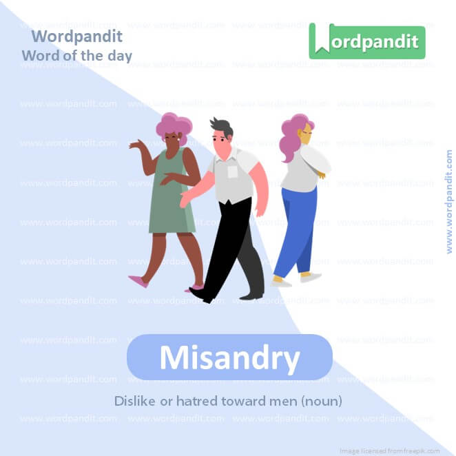 Misandry Picture Vocabulary