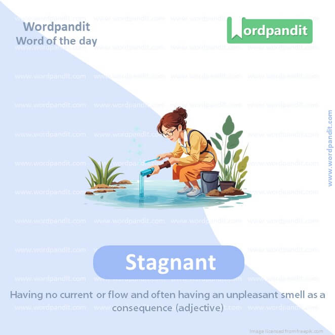 Stagnant Picture Vocabulary