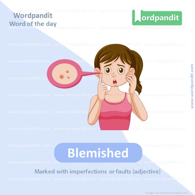 Blemished Picture Vocabulary
