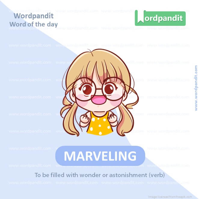Marveling Picture Vocabulary