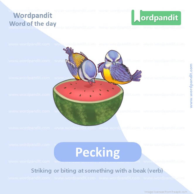 Pecking Picture Vocabulary
