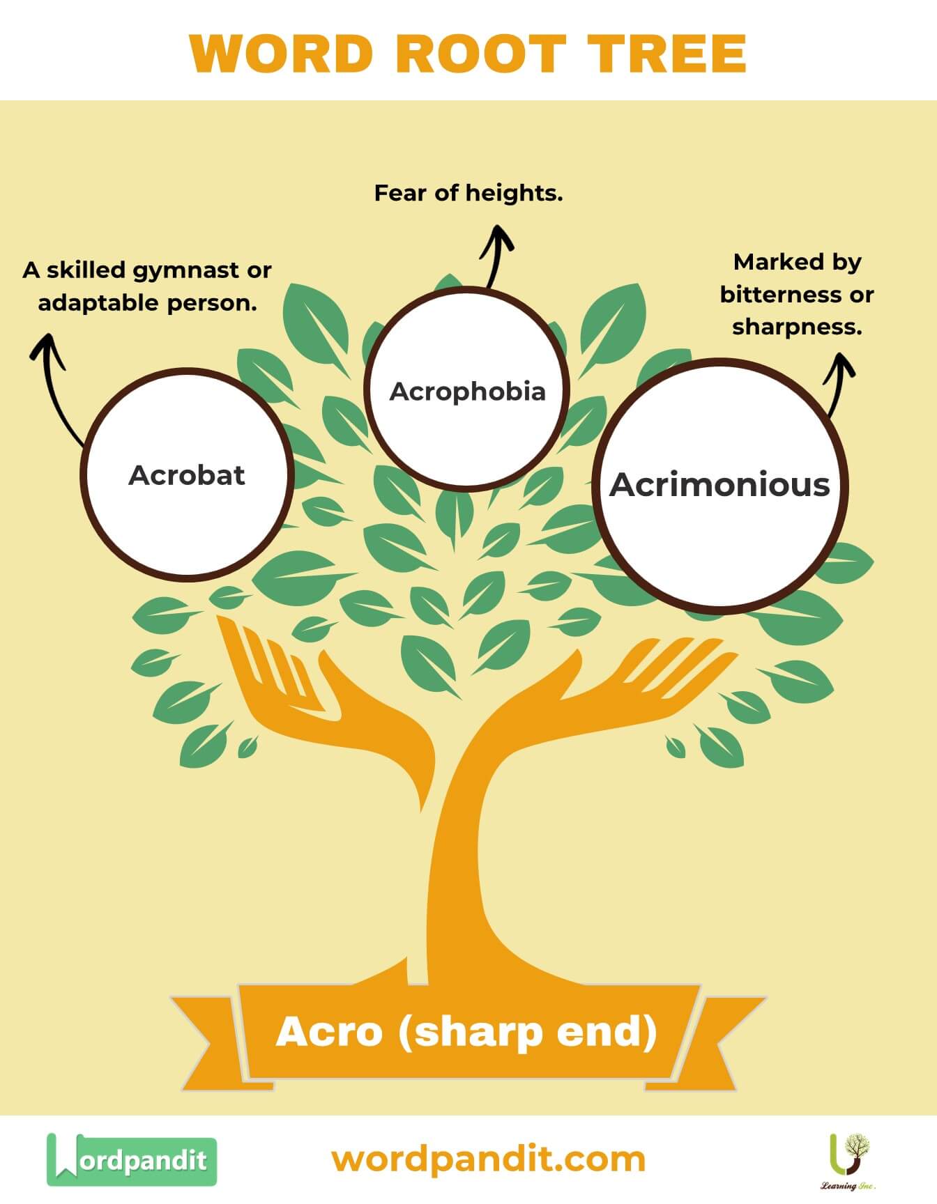 Understanding the Acro Word Root: Definition, Meaning, and Examples