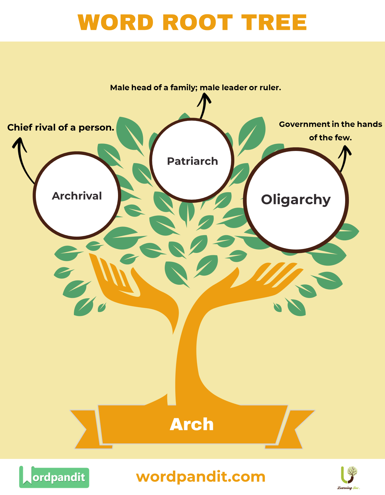 Understanding the Arch Root Word Definition, Examples, and Related Terms