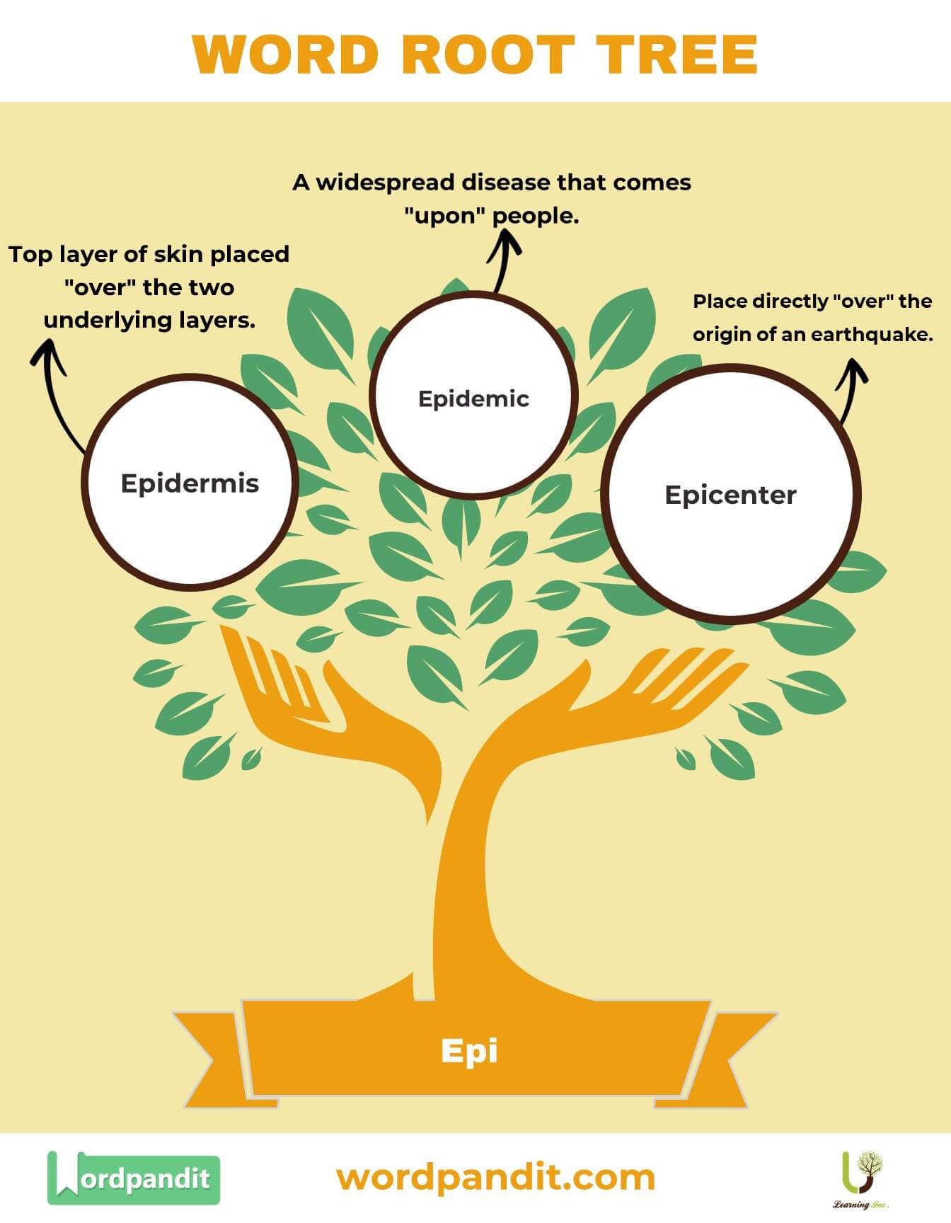 understanding-the-epi-root-word-definitions-and-examples