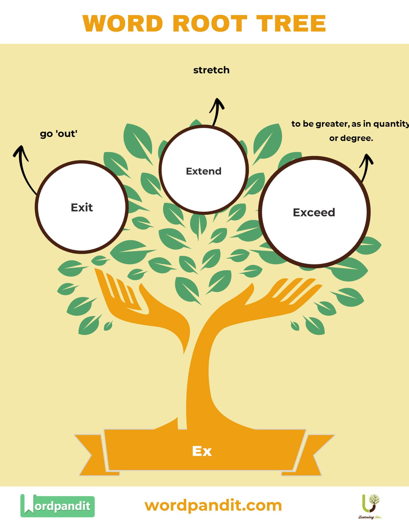 understanding-the-ex-root-word-meaning-common-words