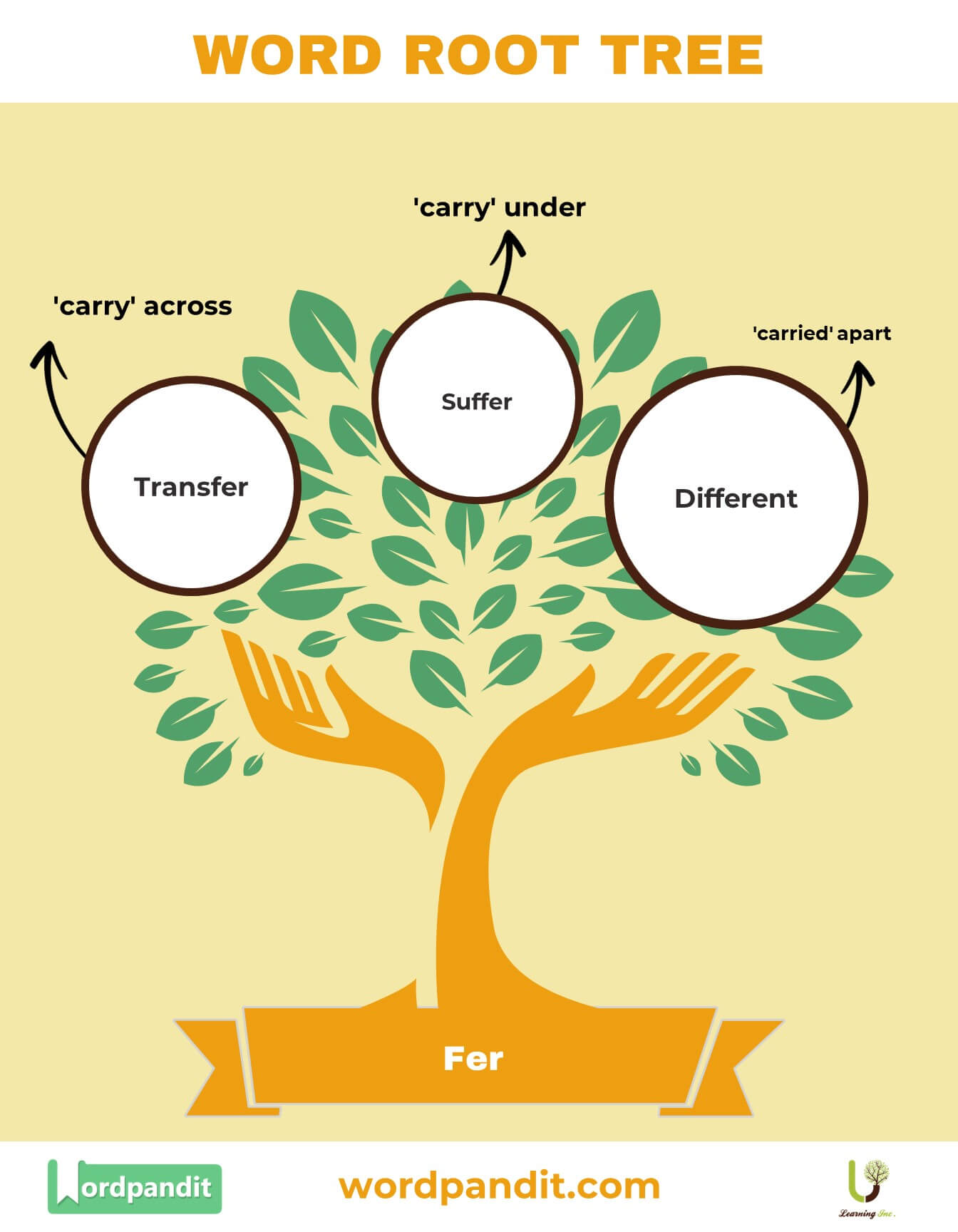 understanding-the-fer-root-word-definitions-and-examples