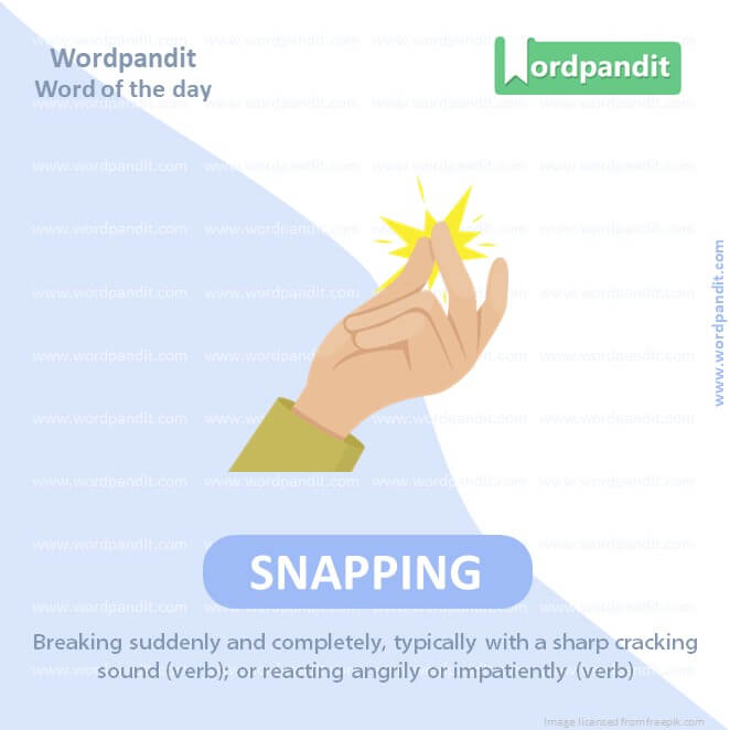 Snapping Picture Vocabulary
