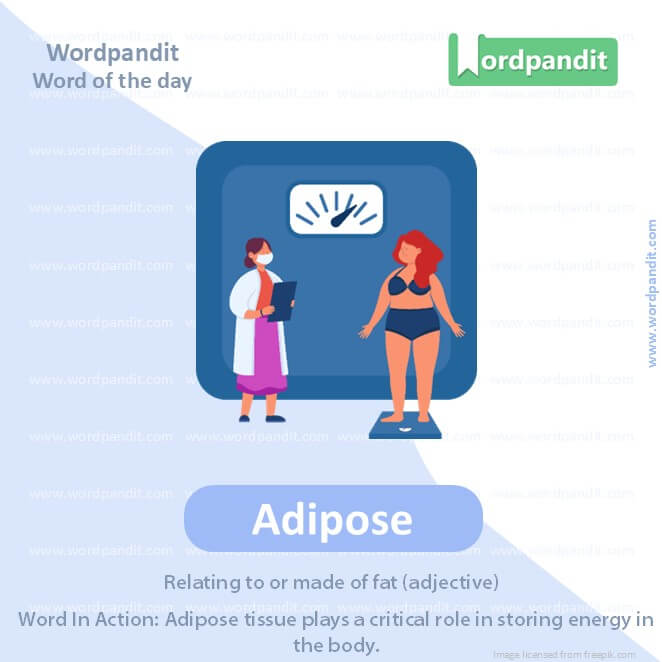 Adipose Picture Vocabulary