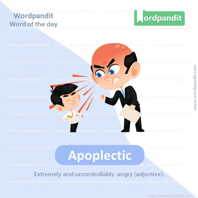 Apoplectic Picture Vocabulary