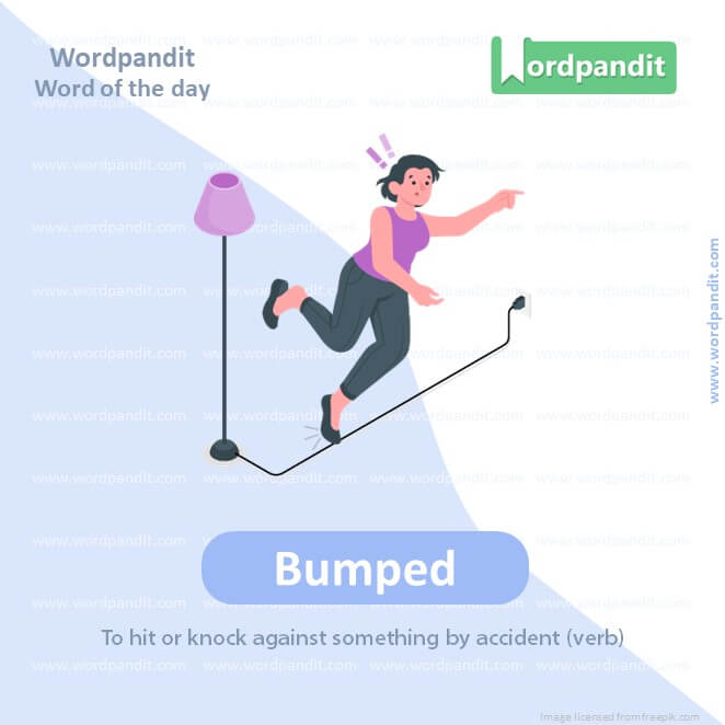 Bumped Picture Vocabulary