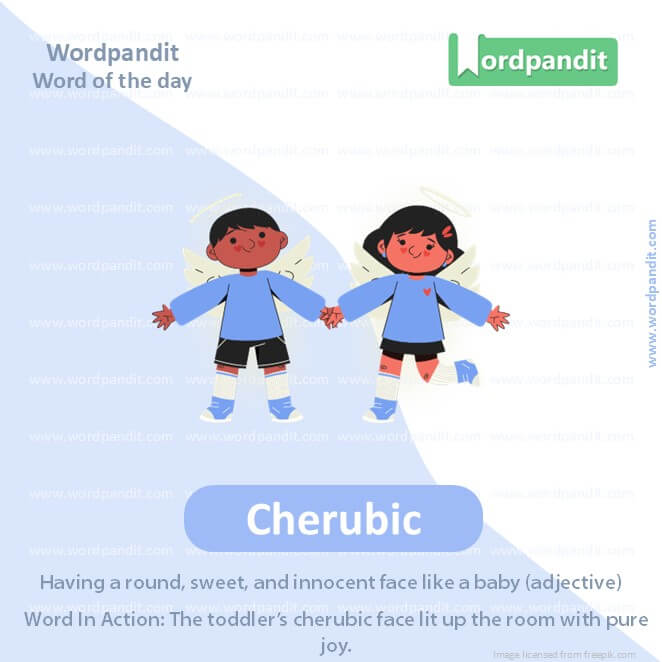 Cherubic Picture Vocabulary