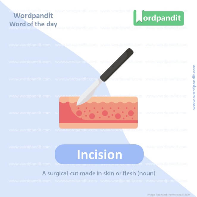 Incision Picture Vocabulary