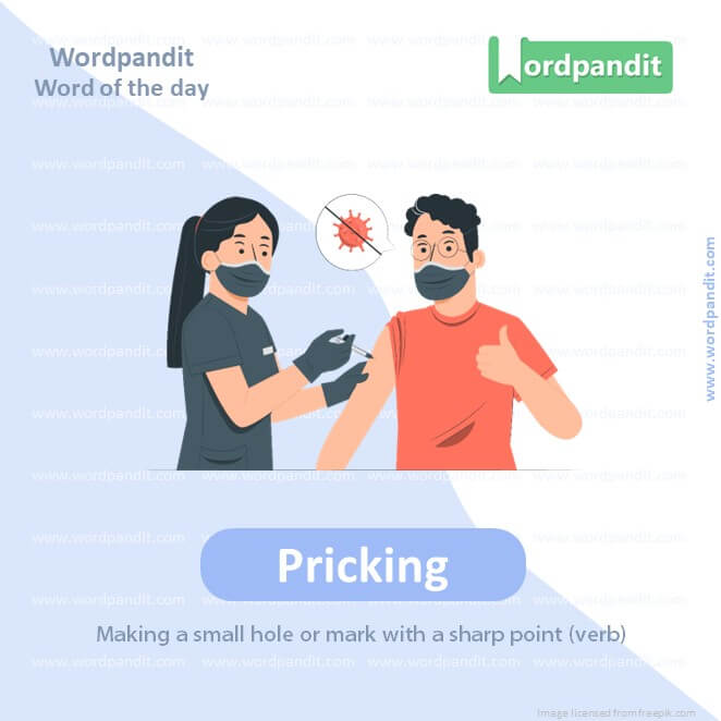 Pricking Picture Vocabulary