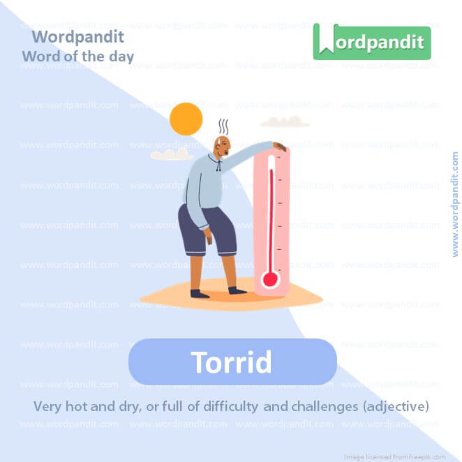 Torrid Picture Vocabulary