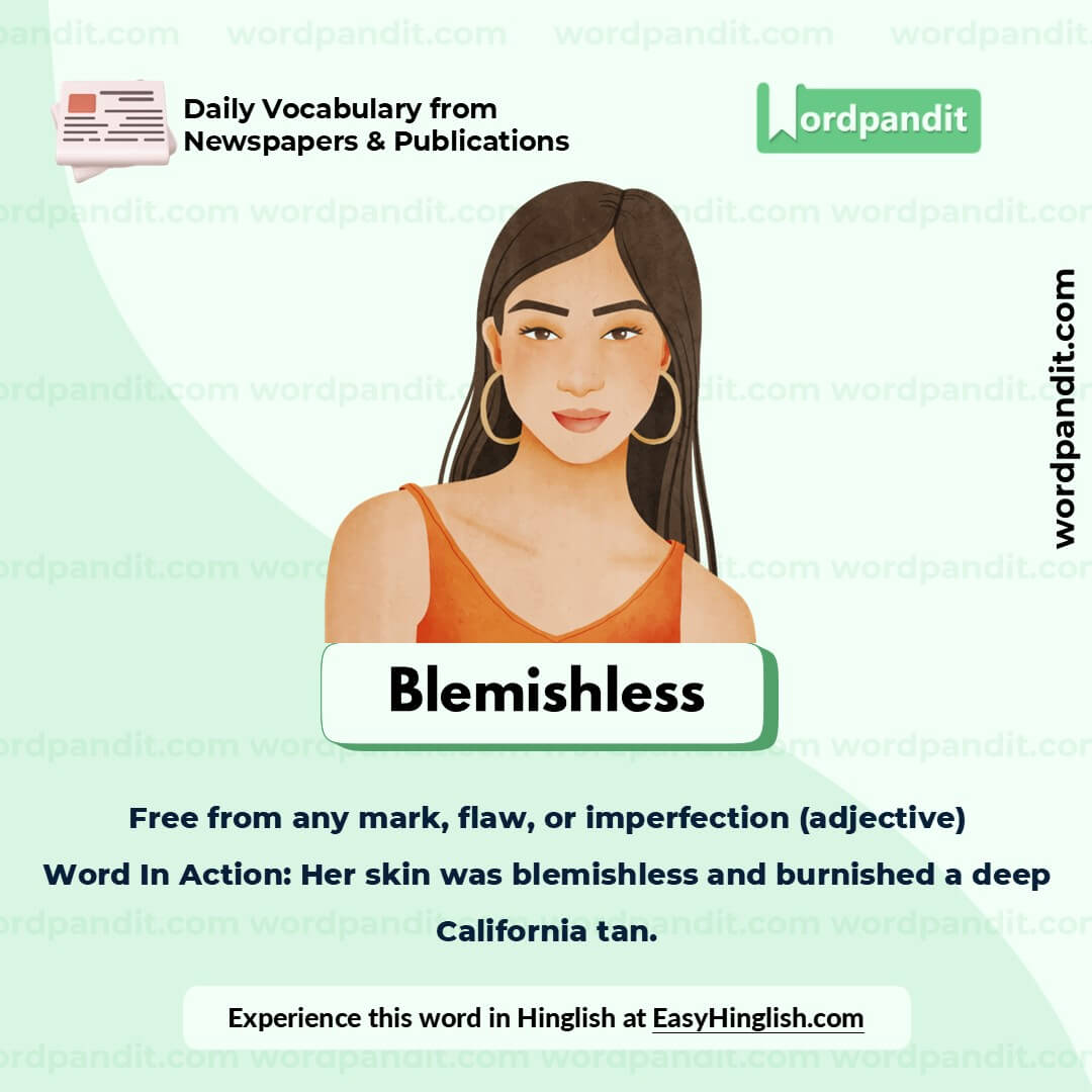 Blemishless Picture Vocabulary Blemishless Picture Vocabulary