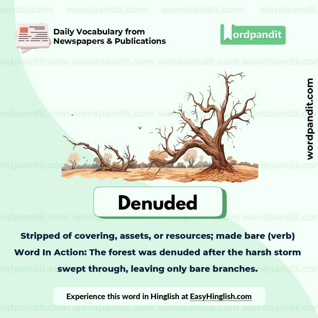 Denuded Picture Vocabulary Denuded Picture Vocabulary
