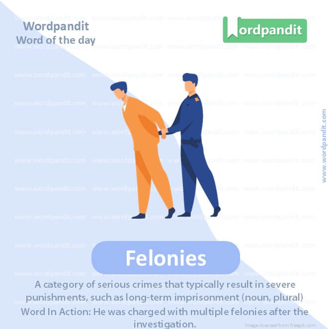 Felonies Picture Vocabulary Felonies Picture Vocabulary