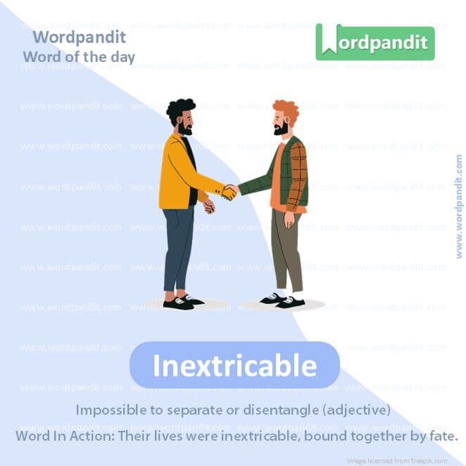 Inextricable Picture Vocabulary Inextricable Picture Vocabulary
