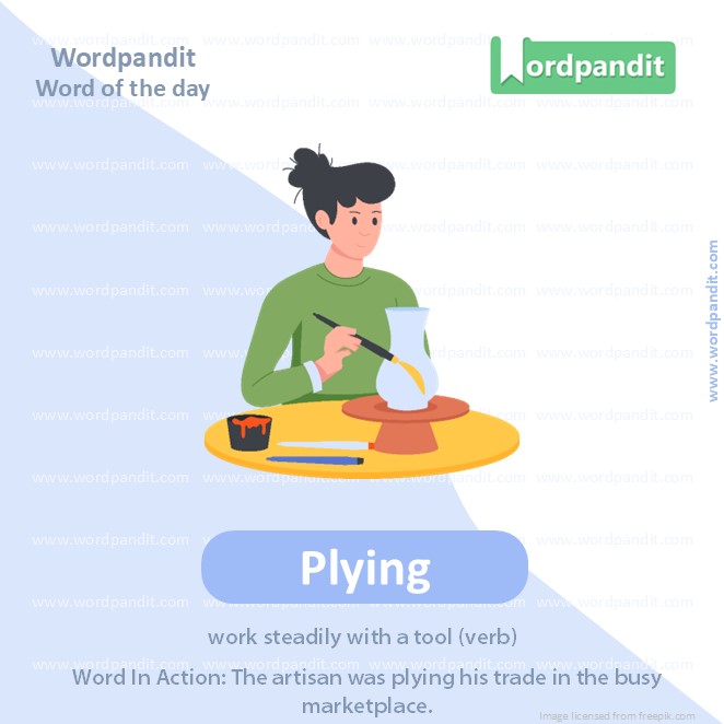 Plying Picture Vocabulary Plying Picture Vocabulary