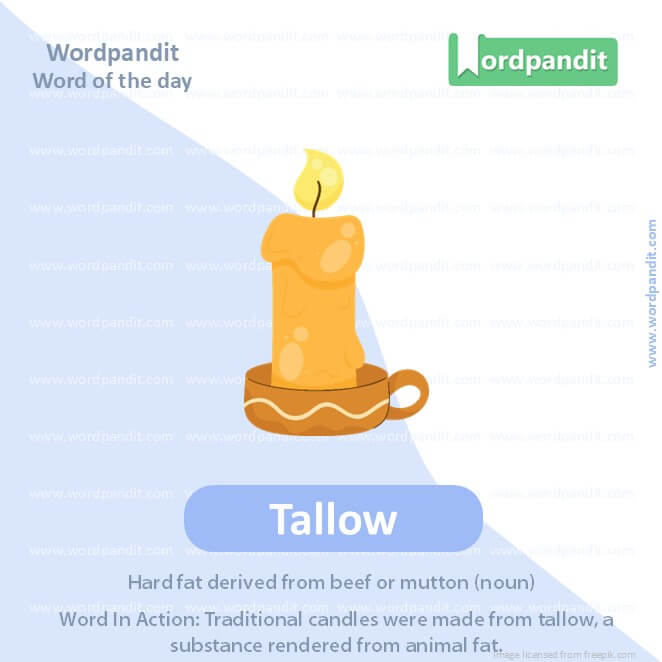 Tallow Picture Vocabulary Tallow Picture Vocabulary