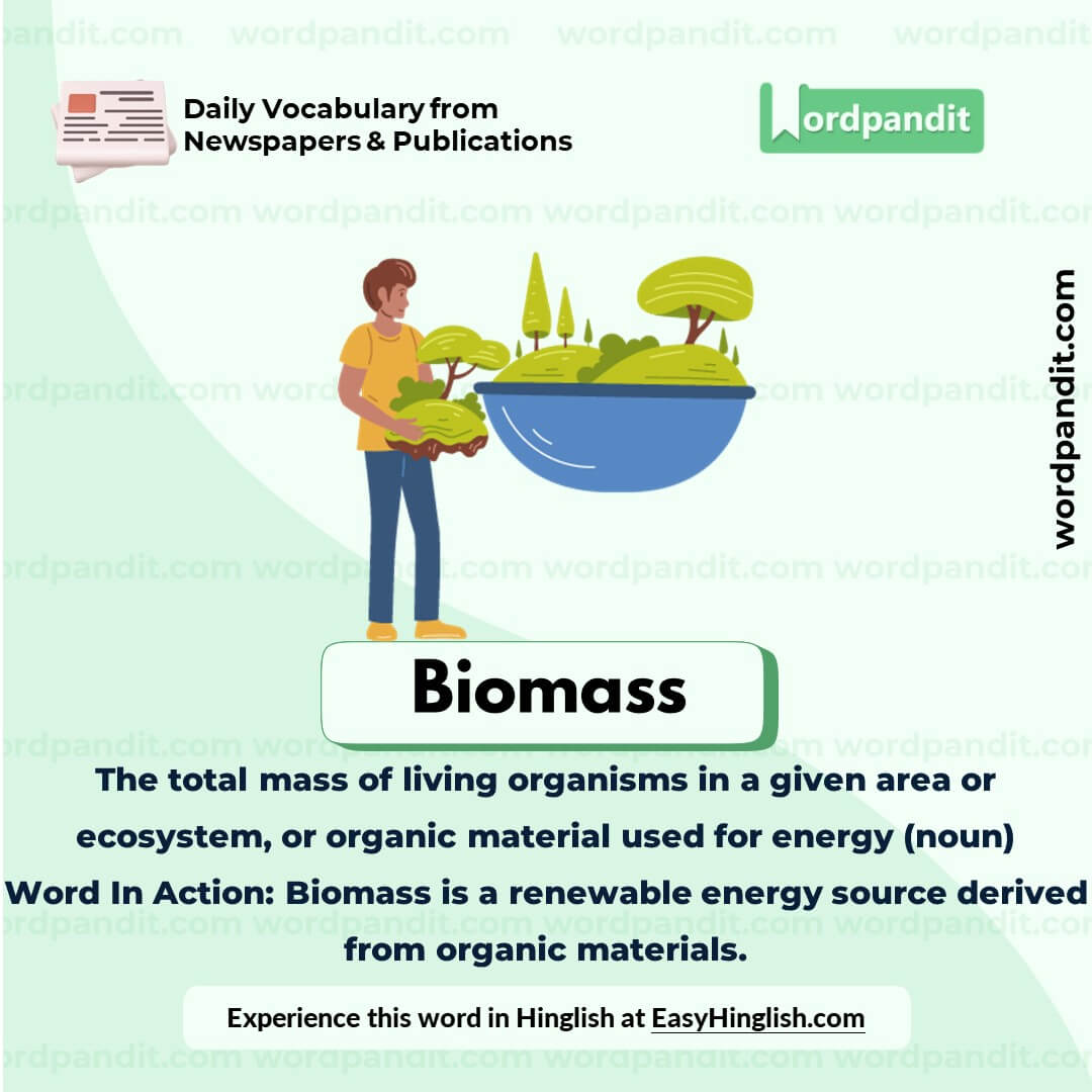 Biomass Vocabulary Picture Biomass Vocabulary Picture