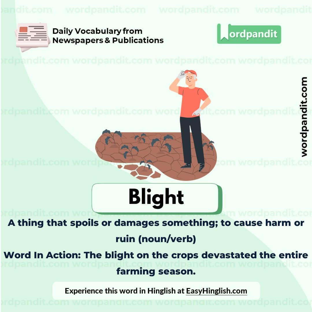 Blight Vocabulary Picture Blight Vocabulary Picture