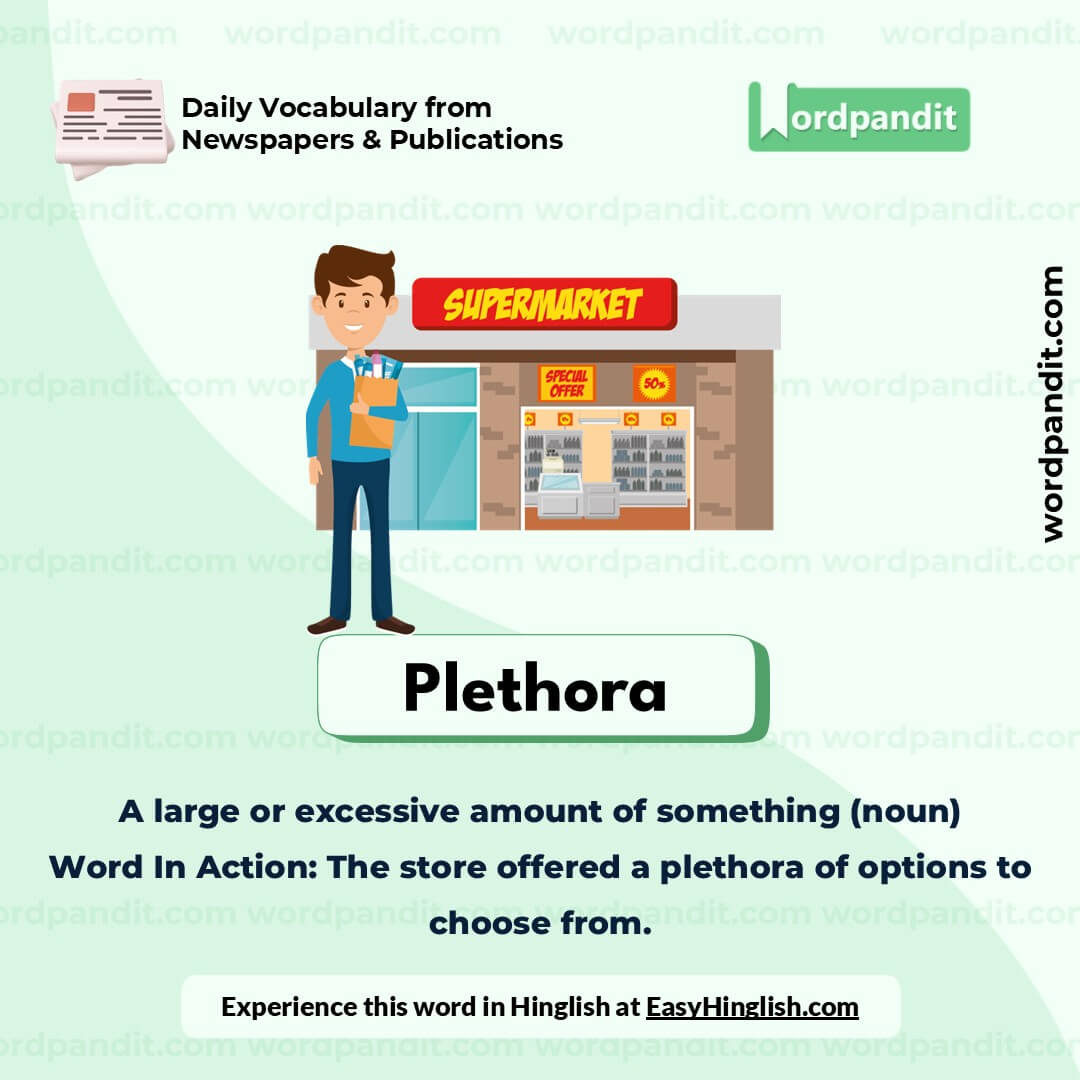 Plethora Picture Vocabulary Plethora Picture Vocabulary