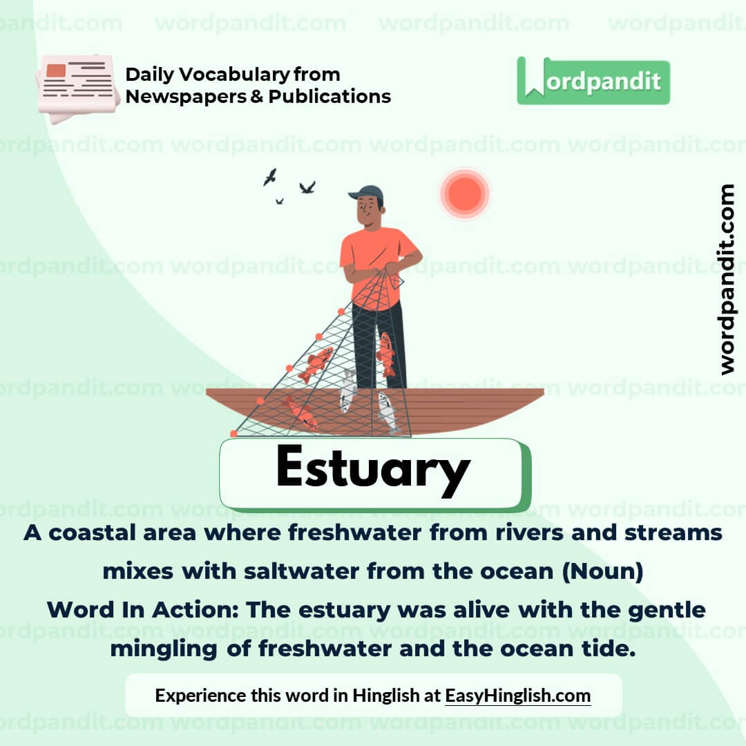 Estuary Vocabulary Post Estuary Vocabulary Post