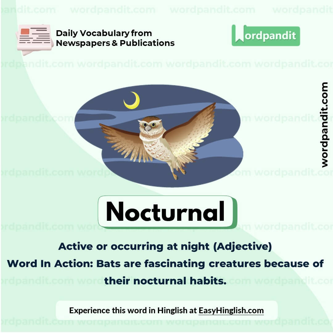 Nocturnal Vocabulary Picture Nocturnal Vocabulary Picture