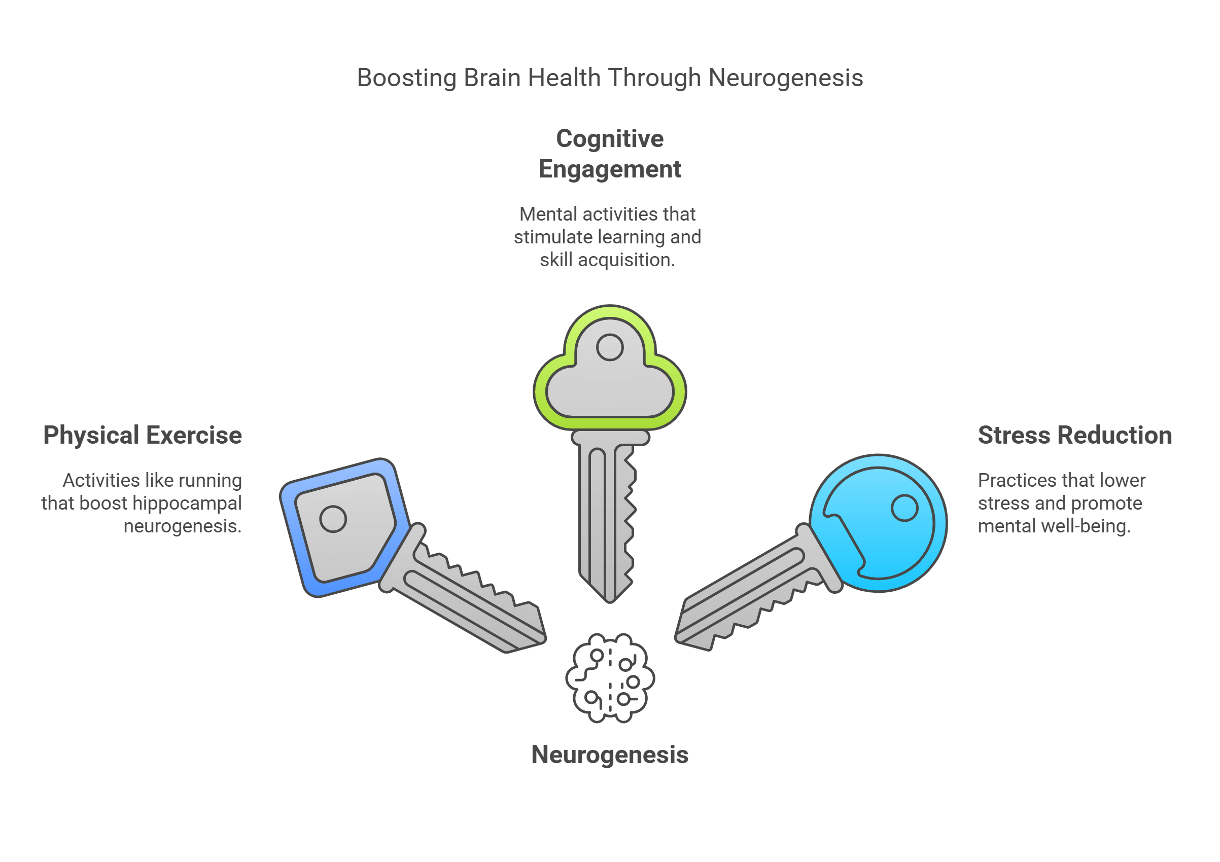 Boosting Brain Health Through Neurogenesis