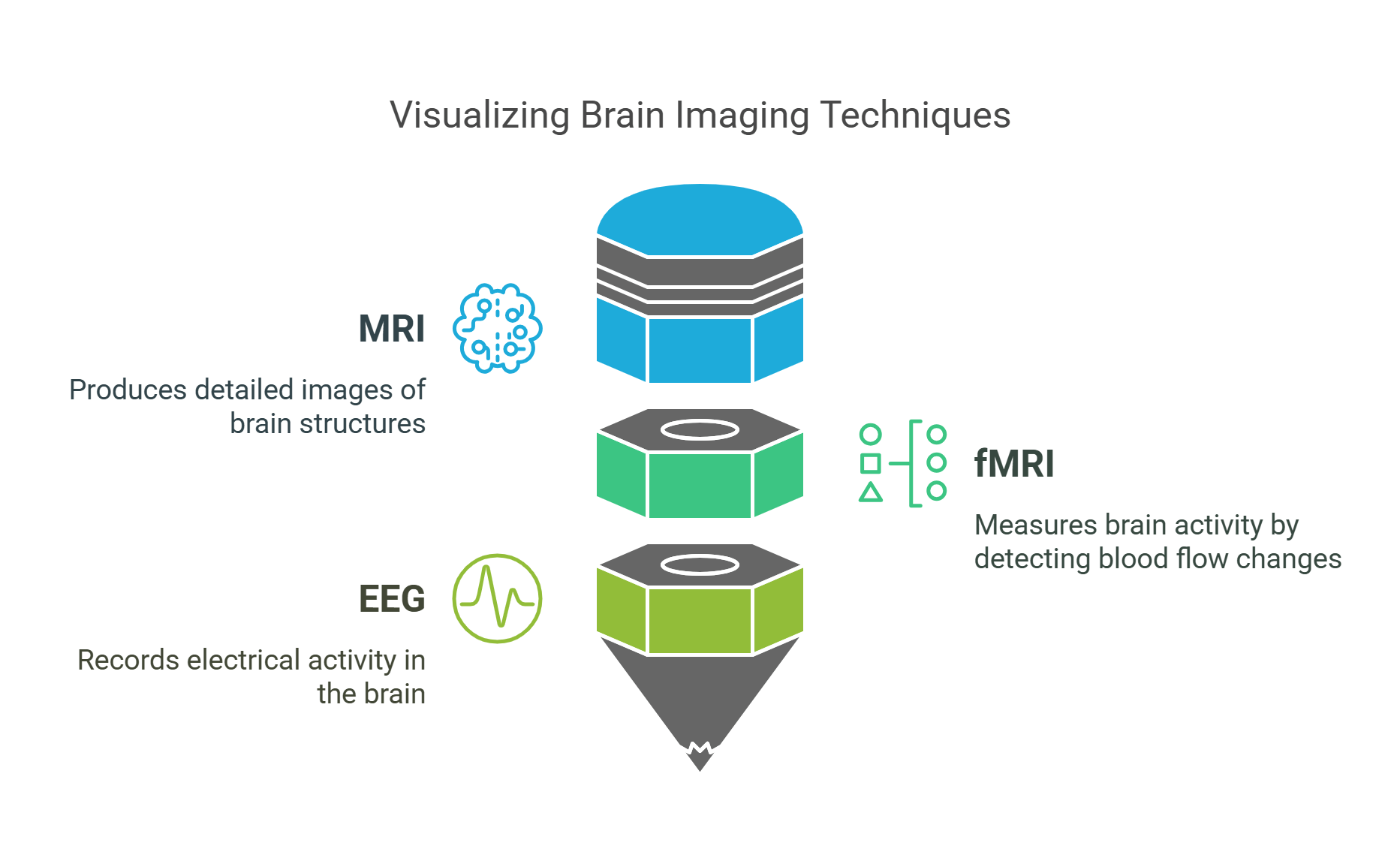 Brain Imaging Techniques Visualizing Brain Activity