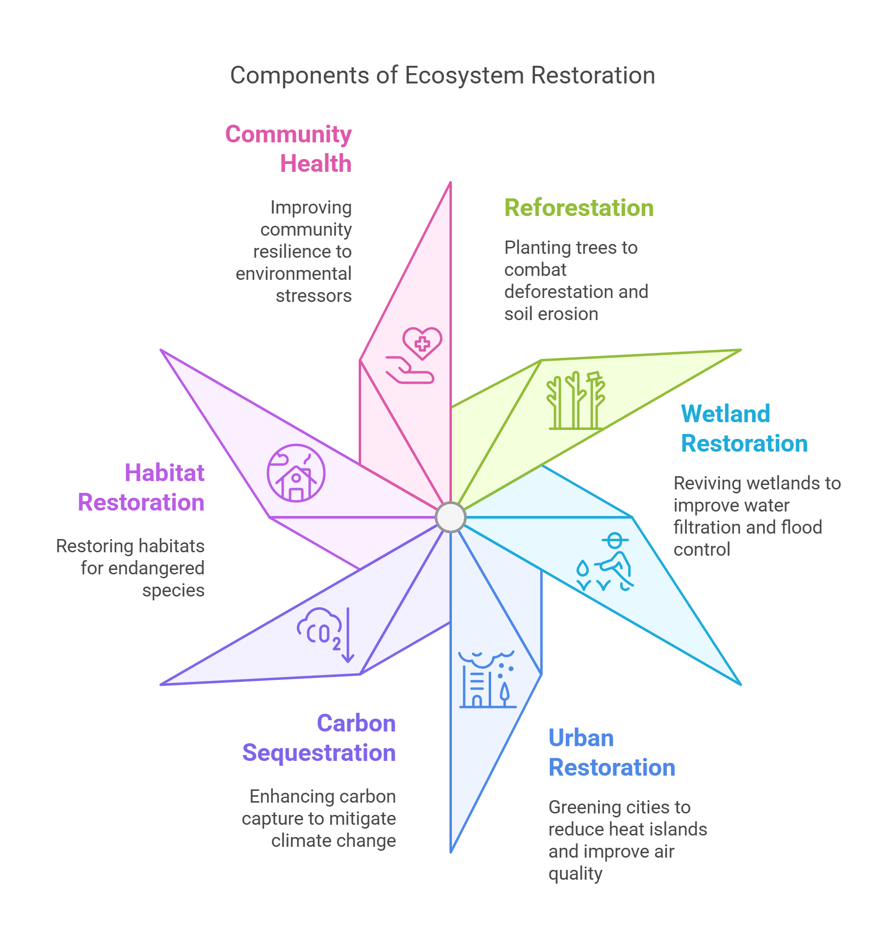 Components Of Ecosystem Restoration Sustainable Solutions
