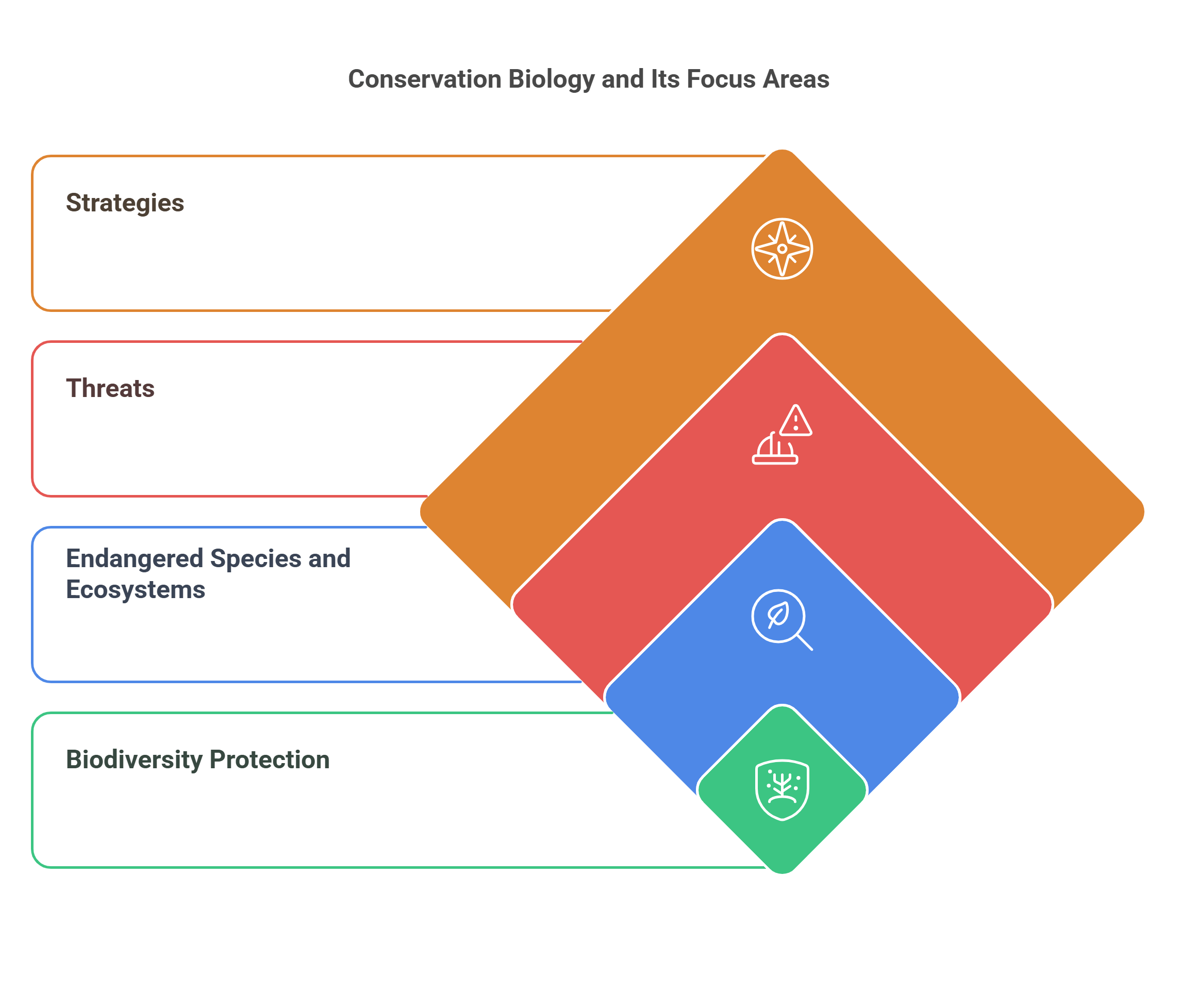 Conservation Biology And Its Focus Areas
