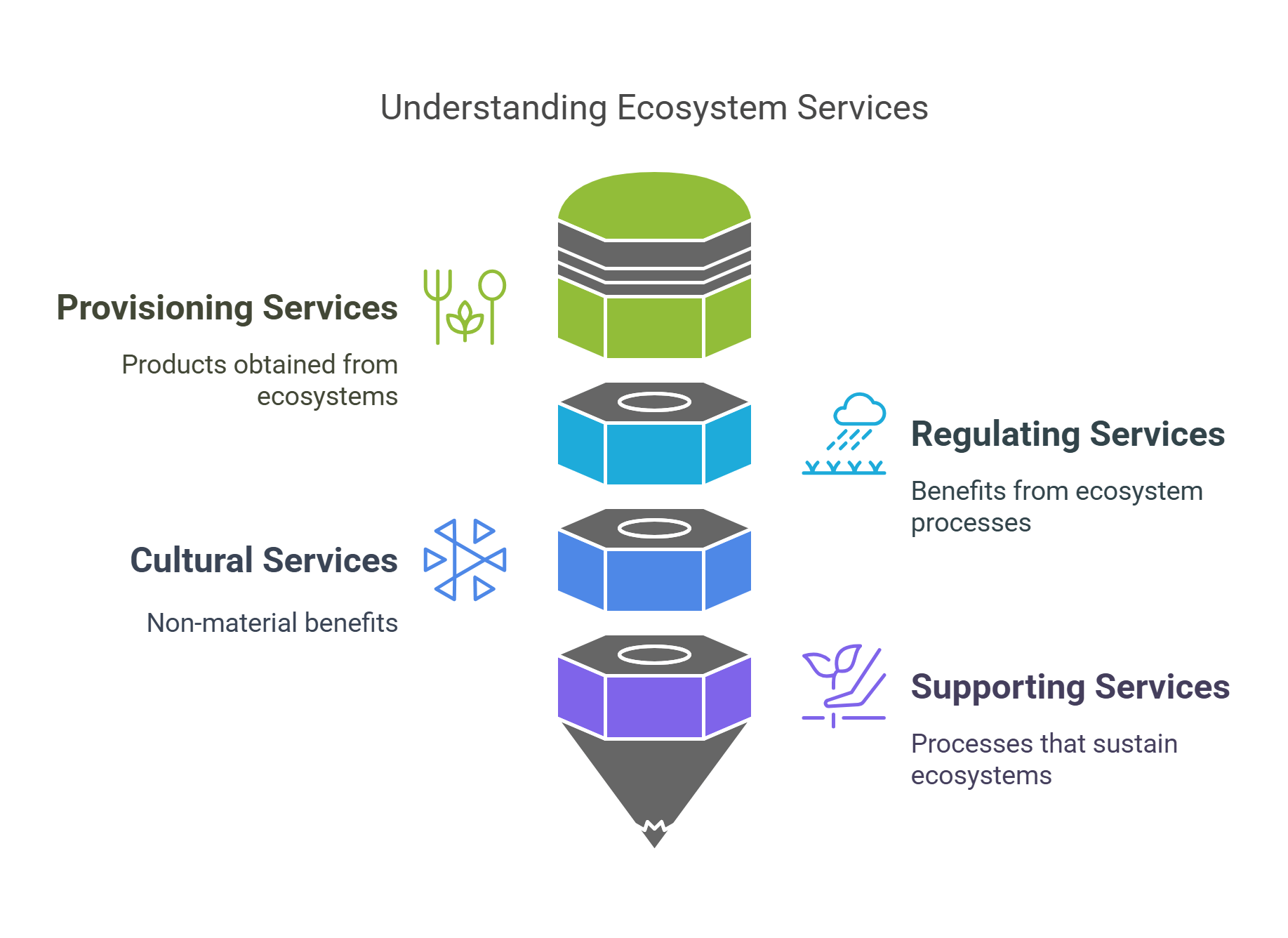 Ecosystem Services Understanding The Benefits Of Nature