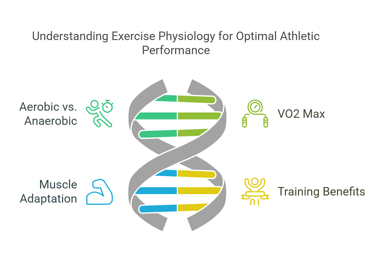 Exercise Physiology For Optimal Athletic Performance