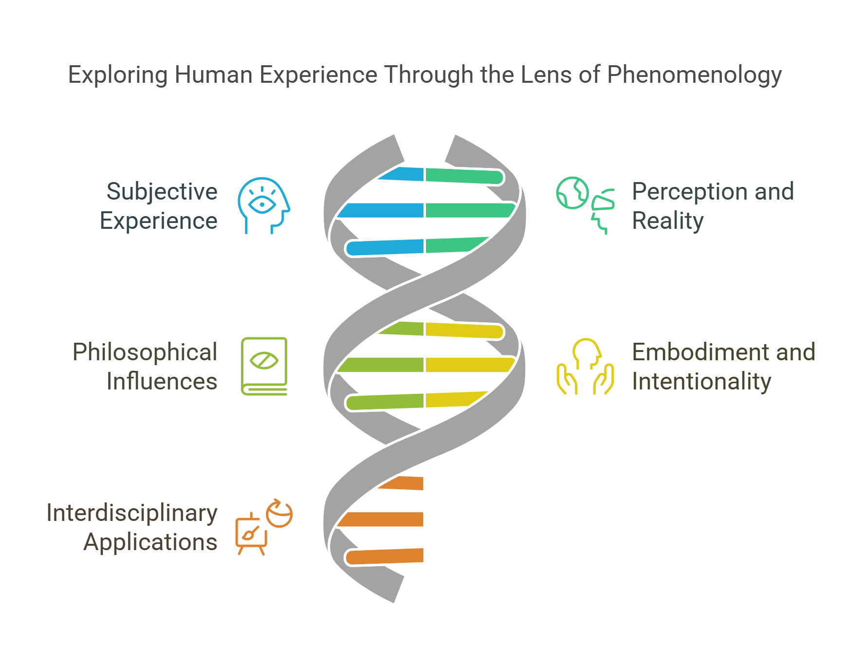 Exploring Human Experience Through Phenomenology