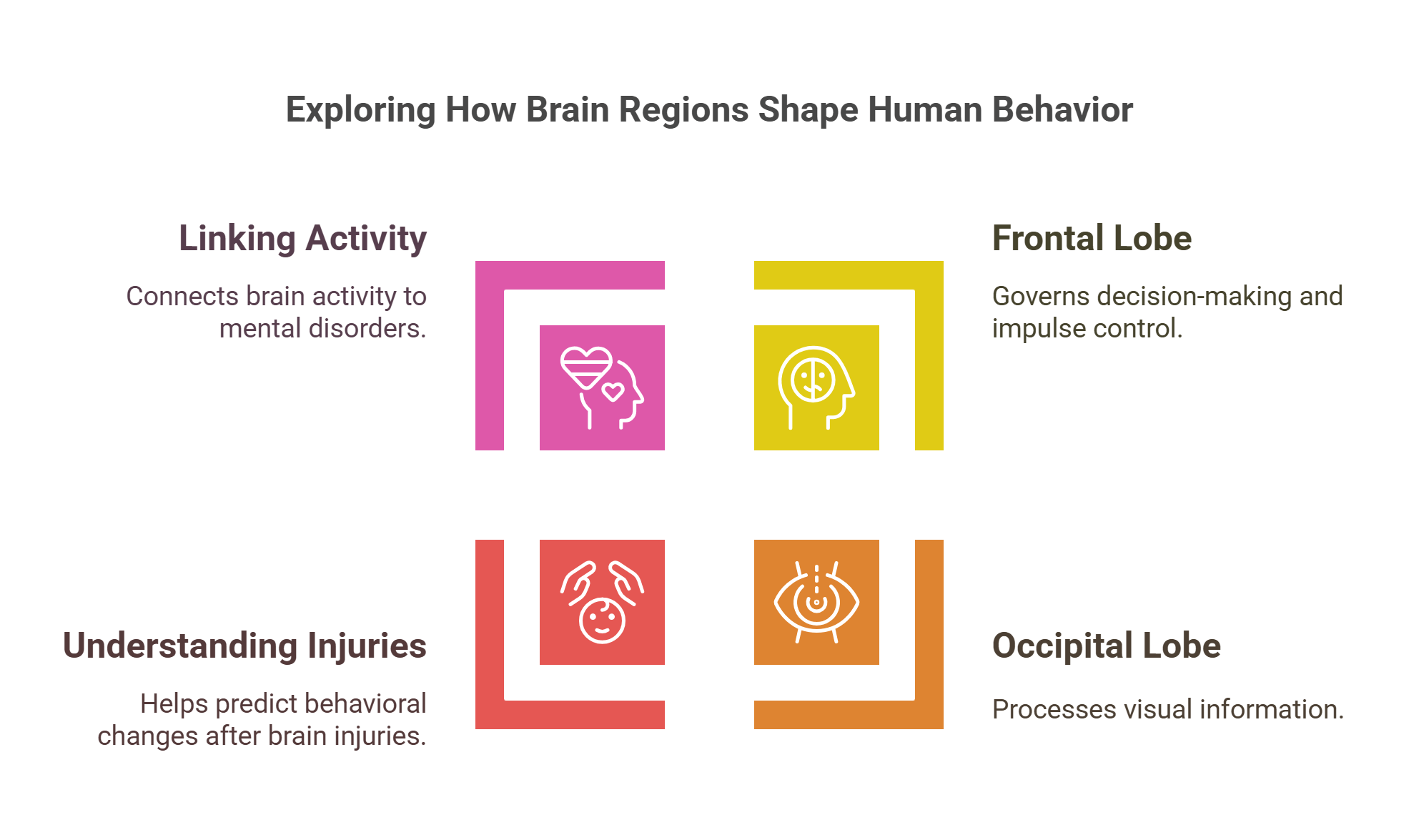How Brain Regions Shape Human Behavior