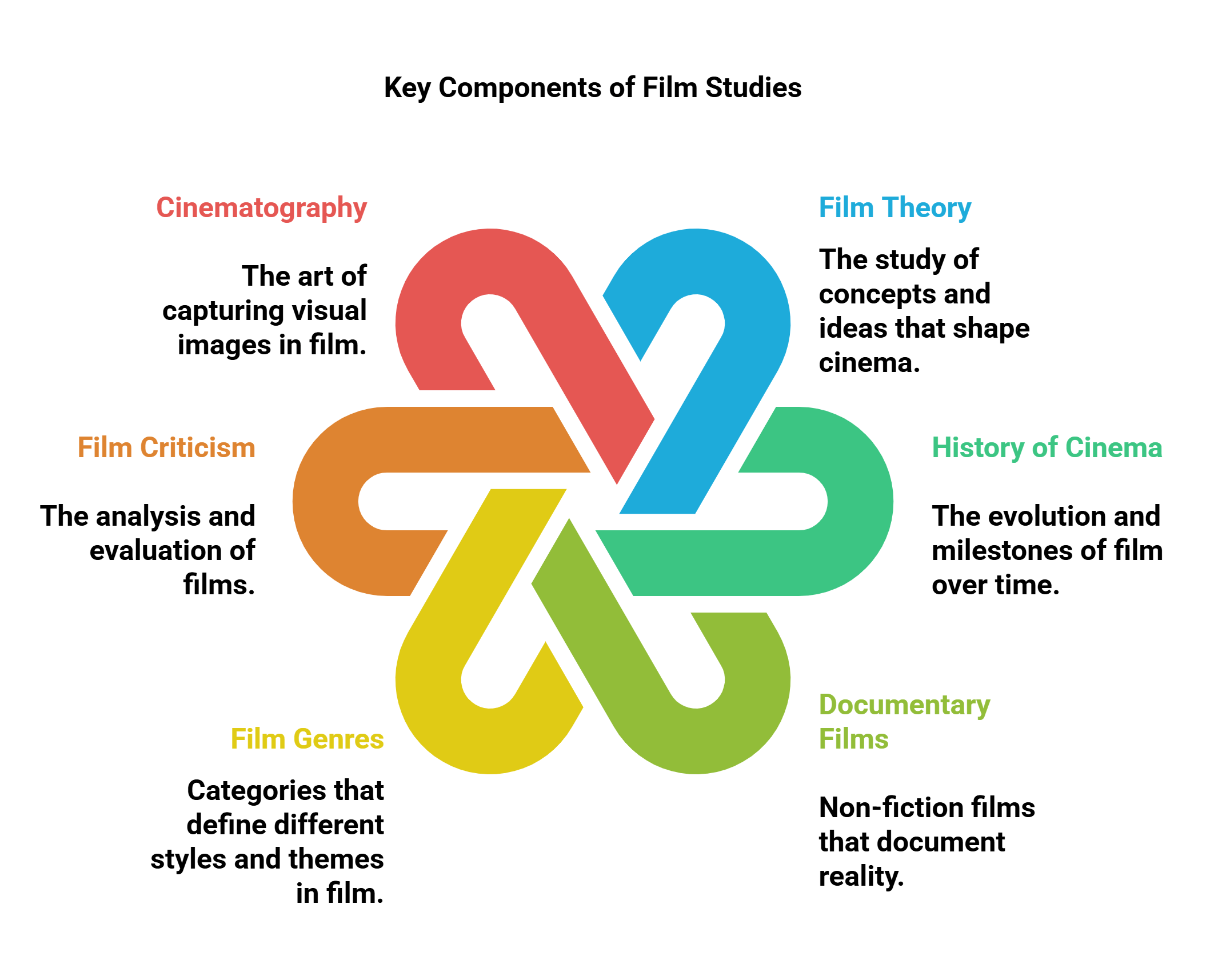 Key Components Of Film Studies Infographic